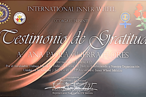International-inner-wheel